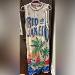 Anthropologie Farm Rio Sunset Graphic Tank Top in Blue and Pink